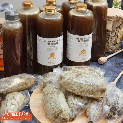 Tổ mật ong ruồi rừng Gia Lai - mật ong ruồi rừng tự nhiên